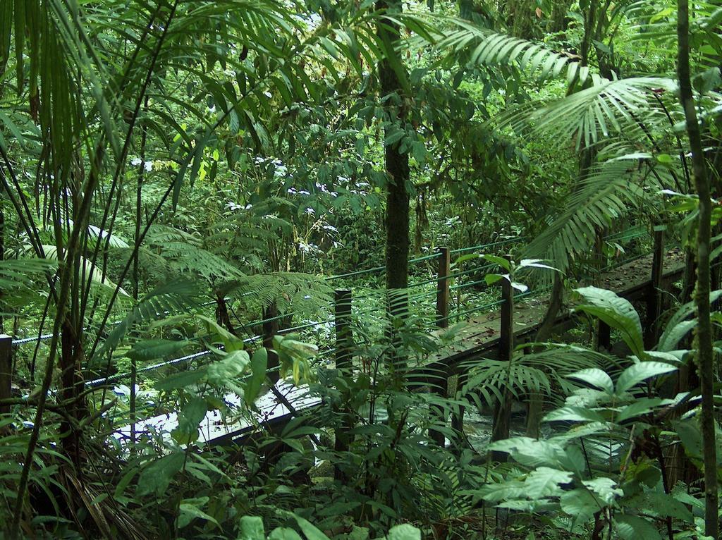 Lodge Yatama Rainforest *